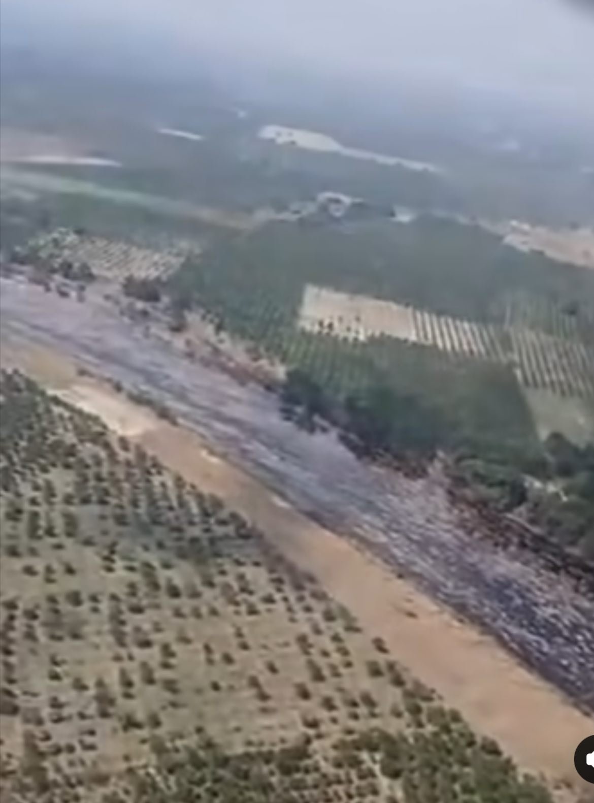 No paran las desgracias para Veracruz . Un intenso derrame de crudo inunda el Río Tuxpan.