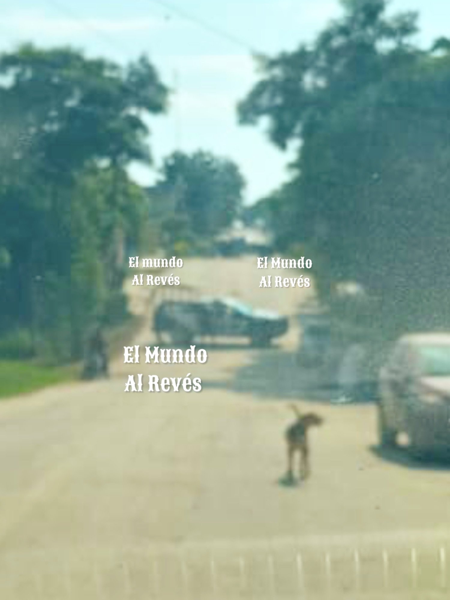 EJECUTADO EN PUERTO ESCONDIDO